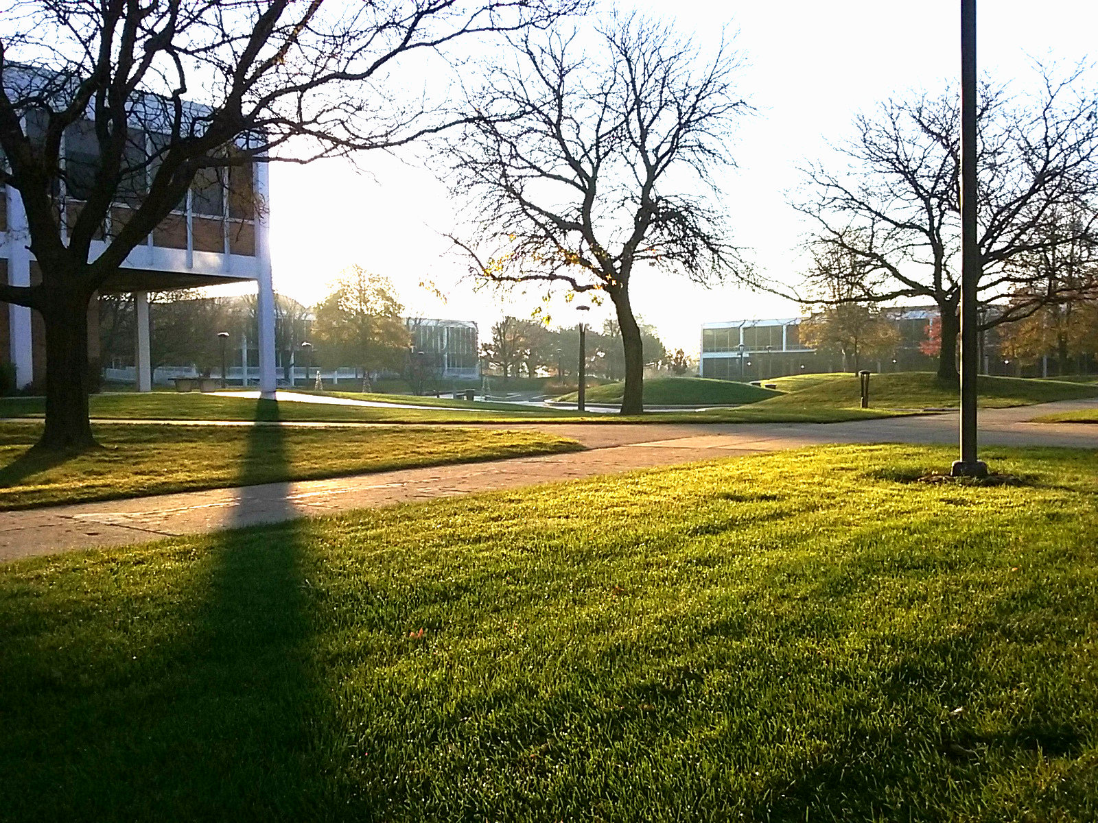 Triton College campus