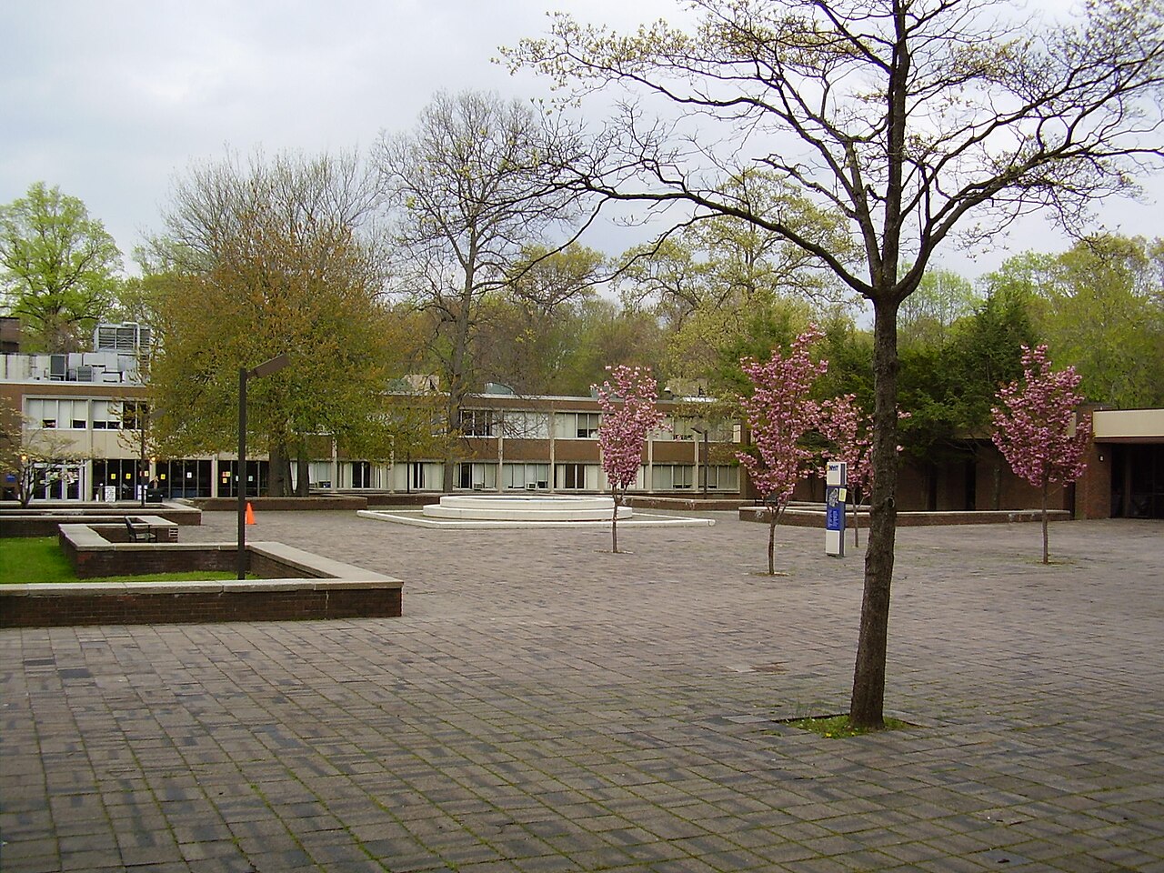 New York Institute of Technology campus