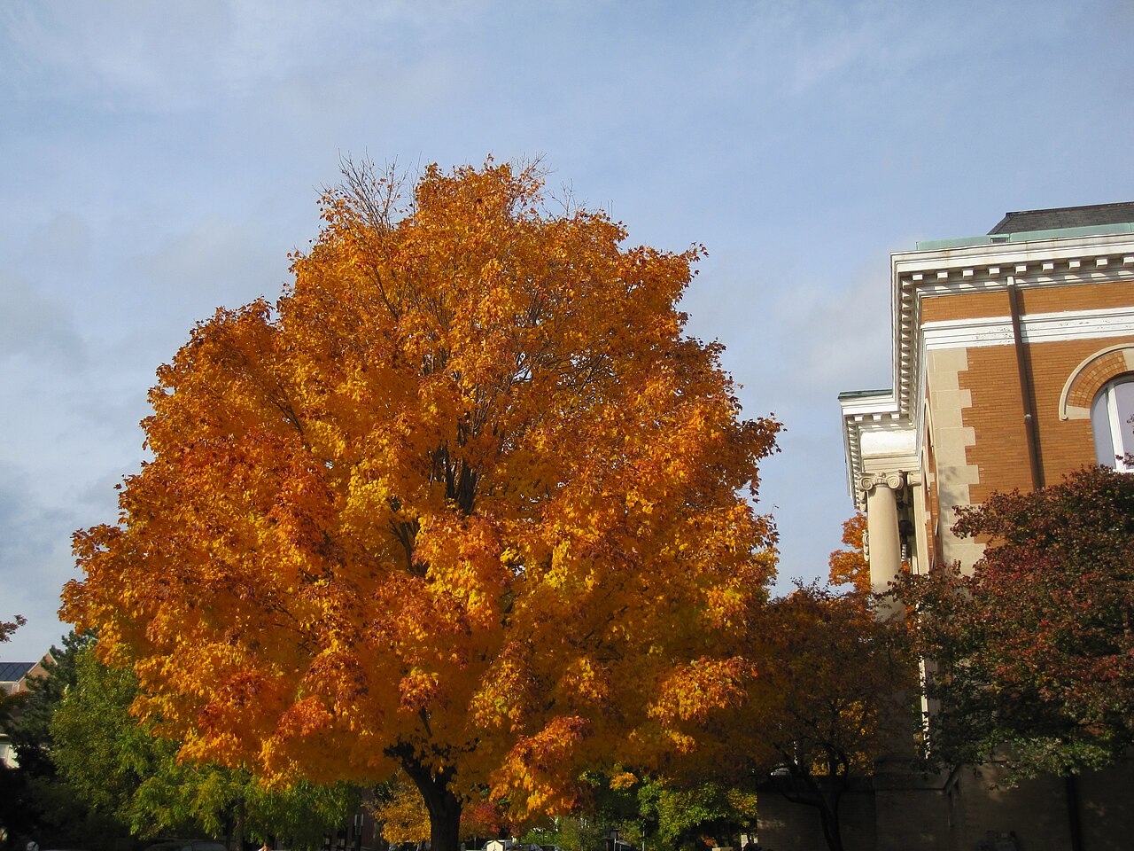 North Central College campus
