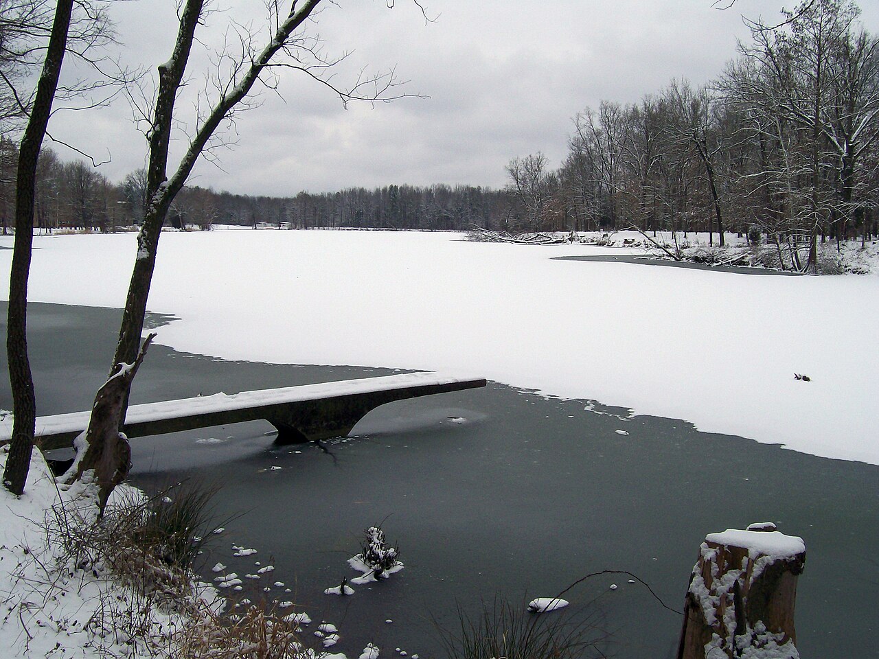 Southern Illinois University-Carbondale campus