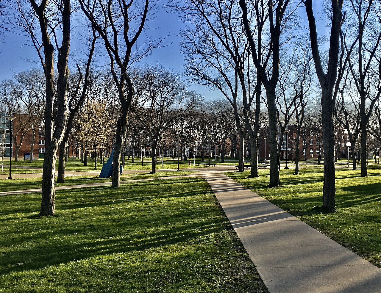 SUNY at Fredonia campus