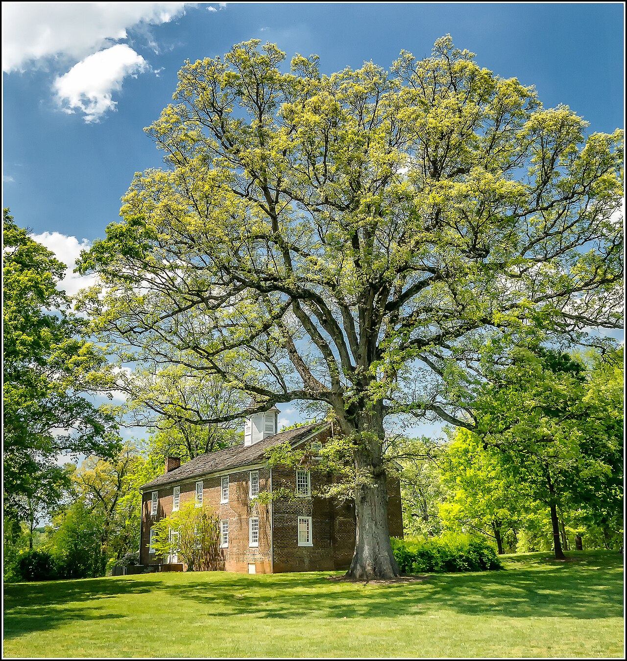 Tusculum University campus
