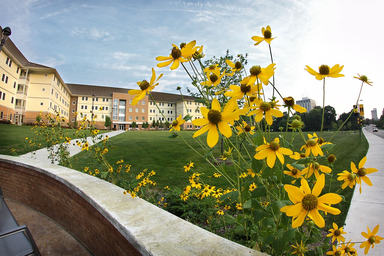 University of Michigan-Flint campus