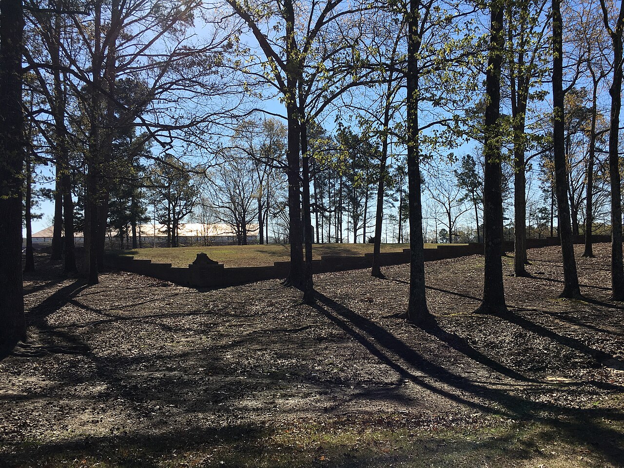University of Mississippi campus